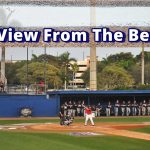 FAU baseball view from the berm